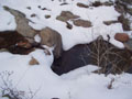 back creek.jpg